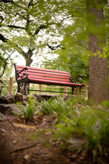 Naklejka premium Bench in a quiet atmosphere