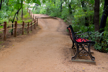 Bench in a path after the rain stops