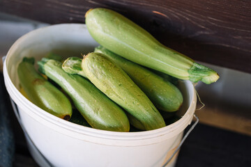 Large zucchini in a white bucket. Summer vegetables harvest background. Farmers product with eco and ripe vegetable