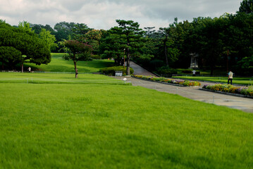 Green Grasses at Dalseong Park
