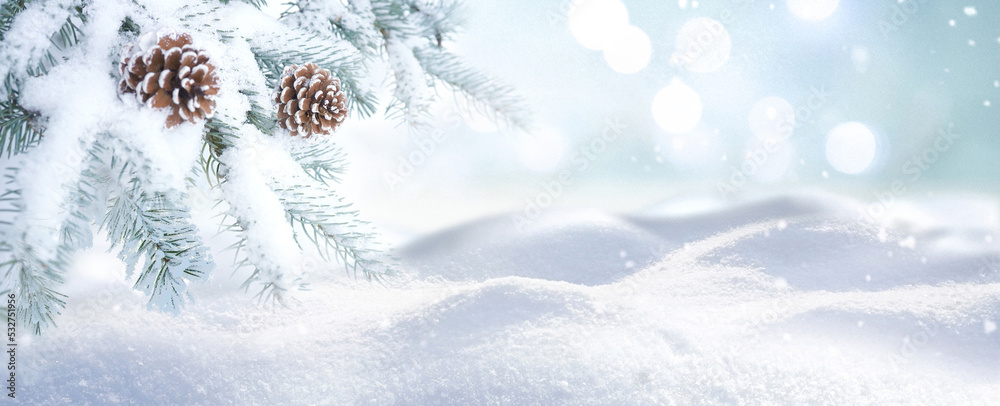 Poster Beautiful natural background image of banner format  on New Year theme - branches of a coniferous tree with cones covered with hoarfrost against the background of small snowdrifts.