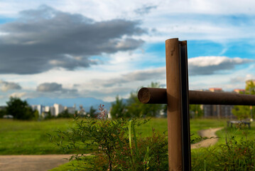 Morning view of the park as an oasis of stark urban life