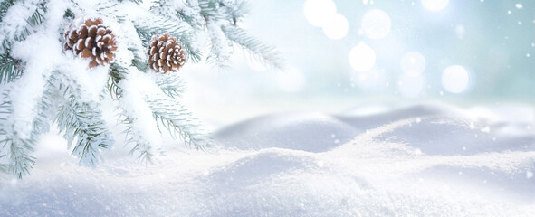 Beautiful natural background image of banner format  on New Year theme - branches of a coniferous...