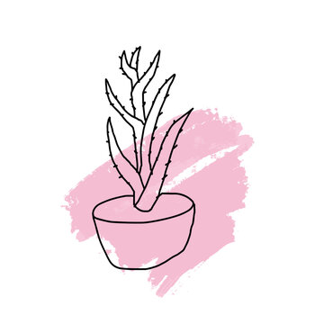 Aloe In A Pot Against A Pink Paint Spot. Doodle Potted Flowers On A Background Of Paint Stains. Vector Doodle On The Background Of A Paint Spot.