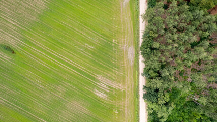 Aerial view drone shot of fresh green field in Spring near Turnhout by Antwerp, Belgium with road between fields. High quality photo
