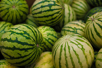 Bunch of watermelons on an open market