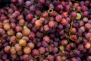 Healthy grape background. Close-up