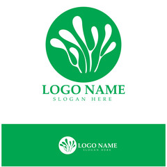 Seaweed vector logo icon illustration design.includes seafood,natural products,florist,ecology,wellness,spa.