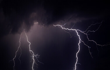 Fototapeta na wymiar Fork lightning striking down during summer storm