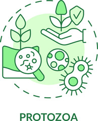 Protozoa green concept icon. Agricultural microbiology abstract idea thin line illustration. Soil organisms. Isolated outline drawing