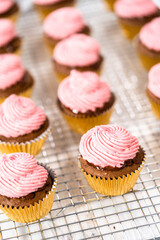 Chocolate raspberry cupcakes