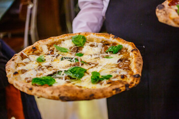 Pizza tradizionale napoletana con mozzarella, basilico fresco, formaggio grattugiato e sugo di...