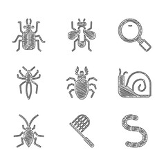 Set Beetle deer, Butterfly net, Worm, Snail, Cockroach, Spider, Magnifying glass and bug icon. Vector