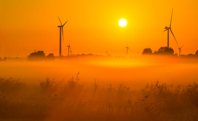 Obraz premium Wind turbines in a foggy agricultural field in sunlight at sunrise in autumn, Almere, Flevoland, Netherlands, September, 2022