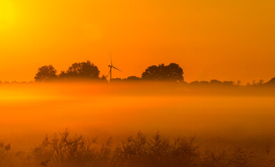 Wind turbines in a foggy agricultural field in sunlight at sunrise in autumn, Almere, Flevoland, Netherlands, September, 2022