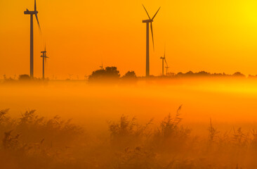 Obraz premium Wind turbines in a foggy agricultural field in sunlight at sunrise in autumn, Almere, Flevoland, Netherlands, September, 2022