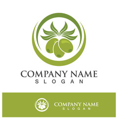 olive icon vector illustration