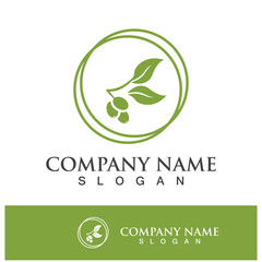 olive icon vector illustration