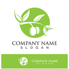 olive icon vector illustration