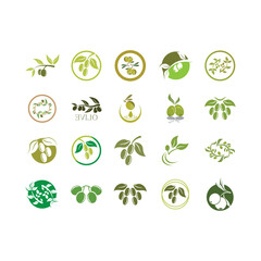 Olive logo images illustration
