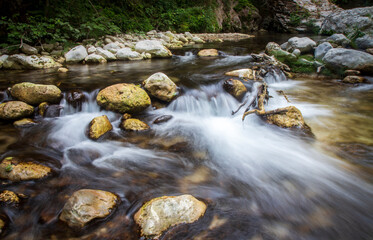 Tusciano river forest scenery in cilento