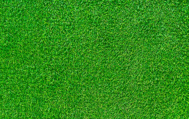 Plakat Green grass texture background grass garden concept used for making green background football pitch, Grass Golf, green lawn pattern textured background..