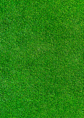 Naklejka na ściany i meble Green grass texture background grass garden concept used for making green background football pitch, Grass Golf, green lawn pattern textured background..