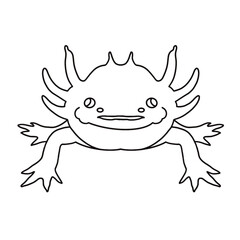 Axolotl salamander