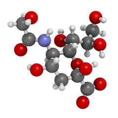 N-glycolylneuraminic acid (Neu5Gc) molecule. 3D rendering.  Sialic acid found in most mammals but missing in humans.