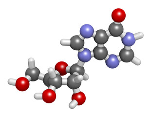 Inosine nucleoside molecule. 3D rendering.  Found in tRNA. Used as fitness nutritional supplement.