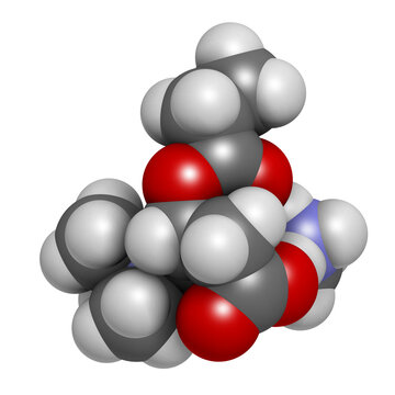 l carnitine fertility dosage L-Carnitine | Linus Pauling Institute l carnitine fertility dosage L-Carnitine | Linus Pauling Institute