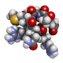 Acetyl hexapeptide-3 (argireline) molecule. 3D rendering.  Peptide fragment of SNAP-25. Used in cosmetics to treat wrinkles.