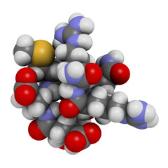 Acetyl hexapeptide-3 (argireline) molecule. 3D rendering.  Peptide fragment of SNAP-25. Used in cosmetics to treat wrinkles.