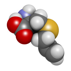 Alliin garlic molecule, 3D rendering.