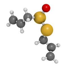 Allicin garlic molecule. 3D rendering.  Formed from alliin by the enzyme alliinase. Believed to have a number of positive health effects.