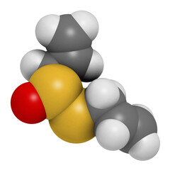Allicin garlic molecule. 3D rendering.  Formed from alliin by the enzyme alliinase. Believed to have a number of positive health effects.
