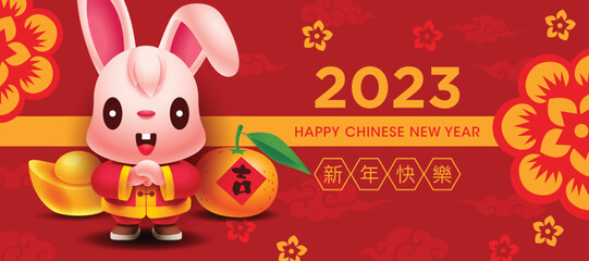 2023 Chinese New Year cute rabbit year greeting banner for web and social media