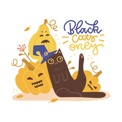 Fototapeta premium Black cats only - lettering quote concept for Happy Halloween tee shirt print template, Pumpkin characters with sitting Black cat in Witch hat . Vector flat hand drawn illustration.