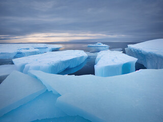 Fototapeta na wymiar icebergs floating in the Antarctic ocean