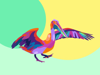 pelicans are walking for food