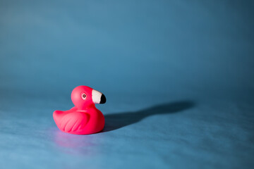 Pink flamingo in blue surroundings © MadsMinothi