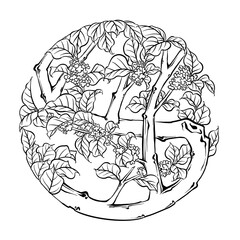 Osmanthus tree illustration, circular pattern design, black and white, digital art.