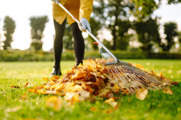 Rake and pile of fallen leaves on lawn in autumn park. Volunteering, cleaning, and ecology concept....