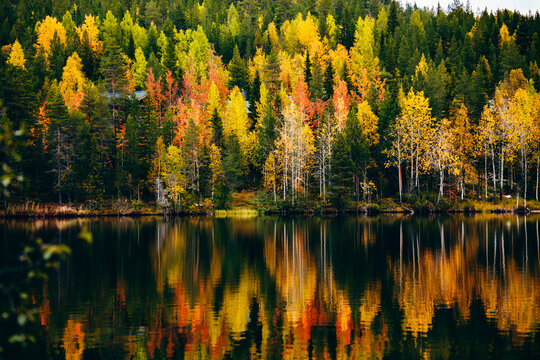 Beautiful landscape of fall colors forest reflected in the still waters of a calm lake in Finland