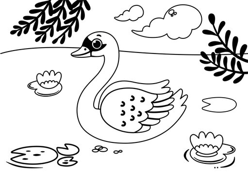 Black and white vector illustration of cartoon beauty swan floats on river. Painting activity for children.