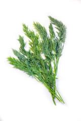 Dill sprig isolated. Fresh fennel twig, herb plant closeup, macro photo of fragrant dill twig on white background top view
