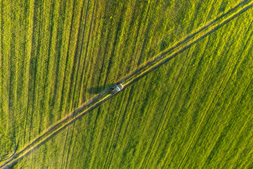 Aerial view of car SUV parked near countryside road in field rural landscape. Bird's-eye drone view of car SUV parked near countryside road in summer field rural landscape.