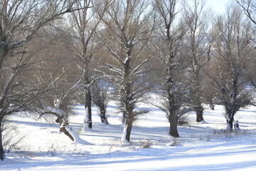 Panoramic view of the National Park.