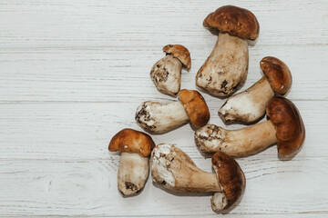 Boletus edulis on a table made of white boards preparation for eating.