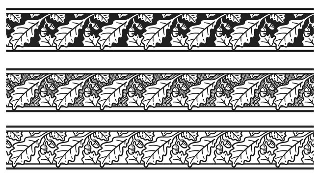 PNG transparent set of vintage seamless patterns of oak tree leaves and acorns, antique natural engraved design elements	
